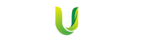 logo20260721035202690